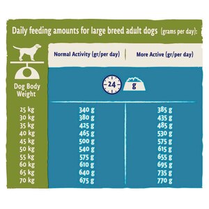 Beta Large Breed Dog Food